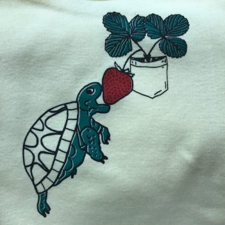 Turtle & Strawberry